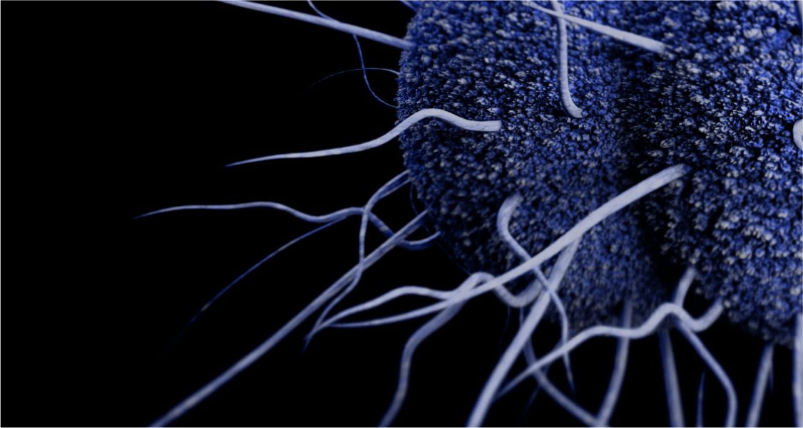 Gonorrhea 1