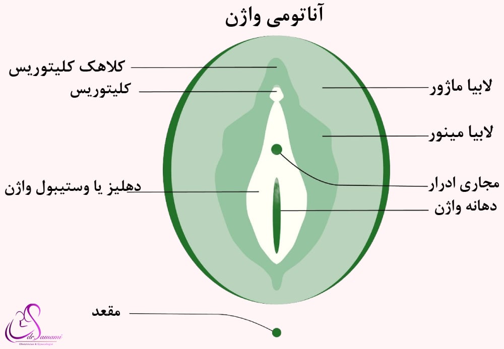 هودکتومی با لیزر