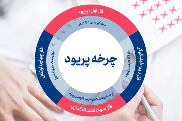 آشنایی اولیه با چرخه قاعدگی و اهمیت نظم در آن