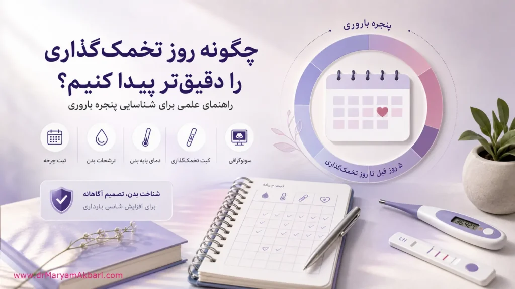 چگونه روز تخمک‌گذاری را دقیق‌تر پیدا کنیم؟