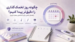 چگونه روز تخمک‌گذاری را دقیق‌تر پیدا کنیم؟