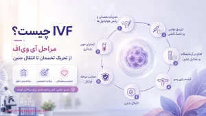 IVF چیست؟ مراحل آی‌وی‌اف از تحریک تخمدان تا انتقال جنین